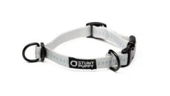 Collier Pour Chien Souple Everyday (3 Couleurs) 16 Collier Pour Chien Souple Everyday (3 Couleurs) -Hariet & Rosie EverydayCollar Silver XS 720x f3ef4b43 6dd4 4de0 b148 98f18edc719e