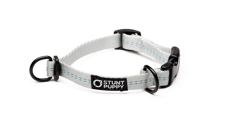 Collier Pour Chien Souple Everyday (3 Couleurs) 9 Collier Pour Chien Souple Everyday (3 Couleurs) – Image 7