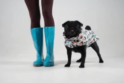 Manteau Pour Petit Chien -Hariet & Rosie GetAttachmentThumbnail d554b13a bc53 4bb6 8dcf 4eaef44db8c7