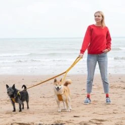 Laisse Fireworks 10 Laisse Fireworks -Hariet & Rosie HandsFree 621x621 b90ee5a6 a5aa 4cf6 b305 2006c1014ed0