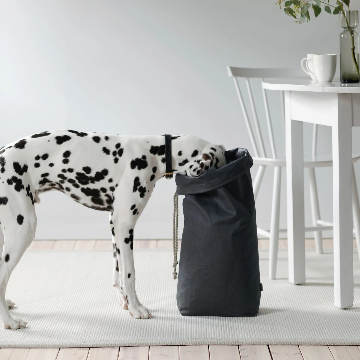 Sac De Conservation De Croquettes Pour Chien 4 Sac De Conservation De Croquettes Pour Chien – Image 2