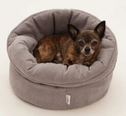 Panier Polyvalent Shopper -Hariet & Rosie Hundekoerbchen Little Basket 2