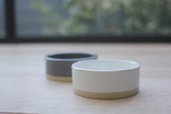 Bol En Céramique Pour Chien Et Chat