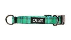 Collier Pour Chien Buffalo (2 Couleurs) -Hariet & Rosie IMG 6389 1024x1024 720x 3367ed4d 16c6 4ee5 b8e9 fbf6f9535586