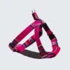 Harnais Pour Chien Inca Pink -Hariet & Rosie INCA PINK HARNESS WEB 621x621 1cc17814 4d59 4254 8009 5ef4a27ed5bd
