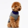 Pull En Laine Pour Chien Mark -Hariet & Rosie Jersey Mark G3