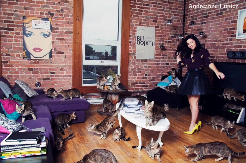 Photo Encadrée Série Crazy Cat Lover : Judith 3 Photo Encadrée Série Crazy Cat Lover : Judith