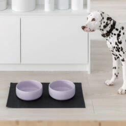 Bol Pour Chien Design Nordique Ole Hyvä 15 Bol Pour Chien Design Nordique Ole Hyvä -Hariet & Rosie Kind for Dogs Ole hyv dog bowl lavender