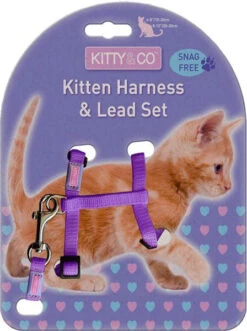Harnais Réglable Et Laisse Pour Chaton -Hariet & Rosie Kitty Co Snag Free Purple Kitten Harness Lead Set