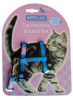 Harnais Et Laisse Couleur Unie Pour Chat -Hariet & Rosie Kitty and Co Blue Cat Harness Lead Set
