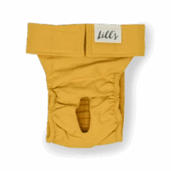 Culotte De Chaleurs Pour Chienne En Coton Bio -Hariet & Rosie Lills L ufigkeitsh schen Amber 1