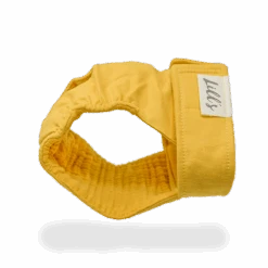 Culotte De Chaleurs Pour Chienne En Coton Bio