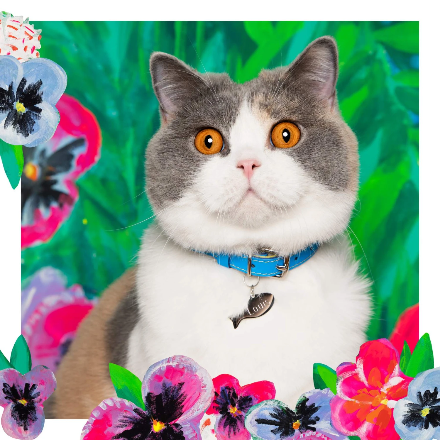 Collier Pour Chat En Cuir Louis Wain 9 Collier Pour Chat En Cuir Louis Wain – Image 7