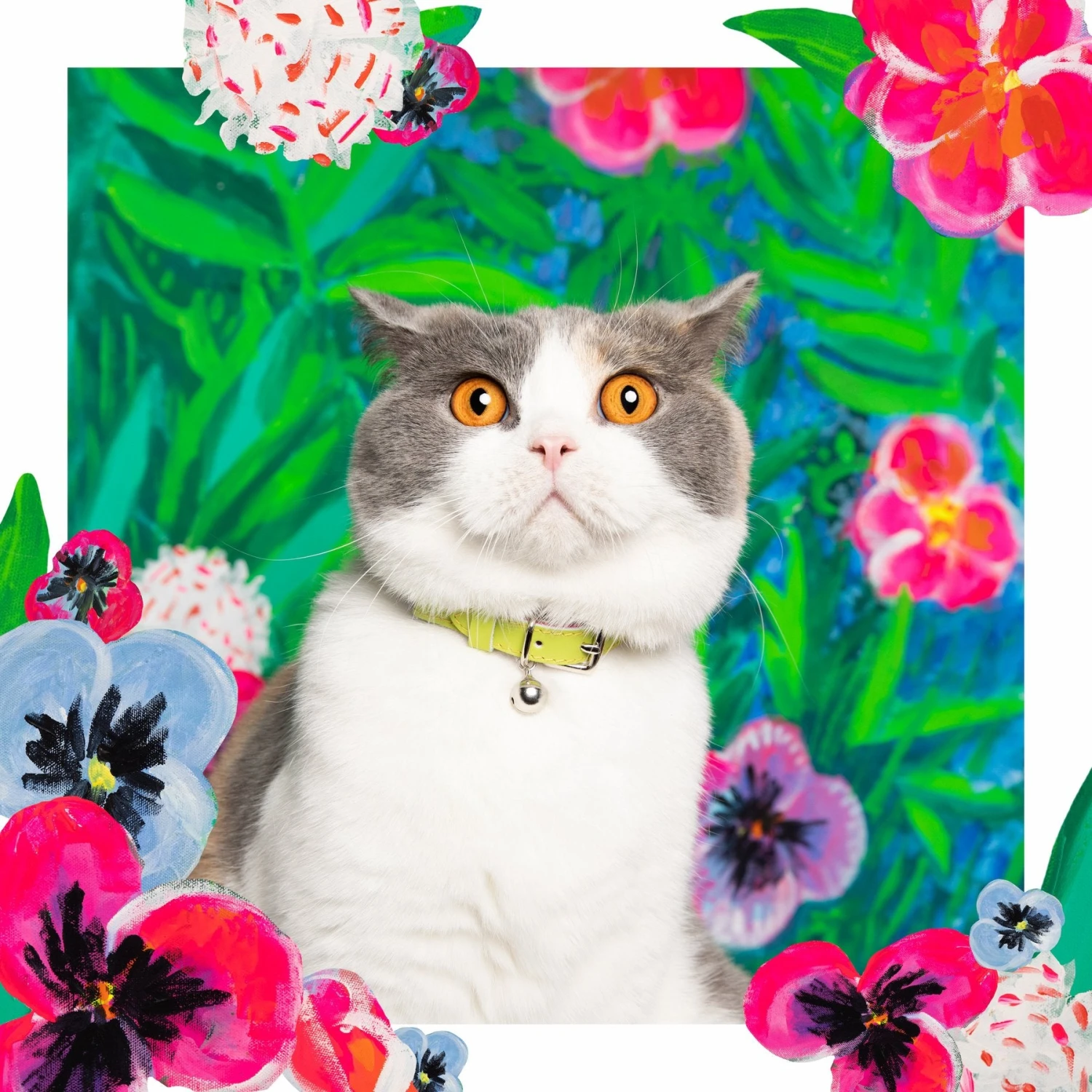 Collier Pour Chat En Cuir Louis Wain 7 Collier Pour Chat En Cuir Louis Wain – Image 5