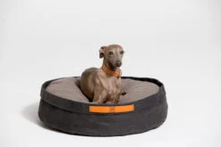 Coussin Pour Chat Et Chien Irvin (3 Couleurs) -Hariet & Rosie MG 0671