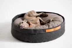 Coussin Pour Chat Et Chien Irvin (3 Couleurs) -Hariet & Rosie MG 0835