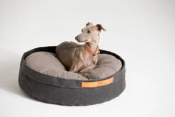 Coussin Pour Chat Et Chien Irvin (3 Couleurs) -Hariet & Rosie MG 0840