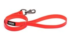 Laisse Biothane Imperméable (5 Couleurs) 11 Laisse Biothane Imperméable (5 Couleurs) -Hariet & Rosie MG 6374 720x 7a40f1a5 4769 433b bc0a 509f883c9200