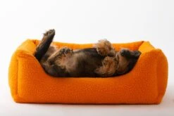 Panier Henri En Laine Casentino Duepuntootto -Hariet & Rosie MG 8704