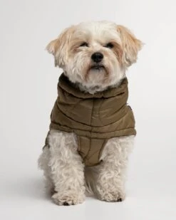 Doudoune Très Chaude Pour Chien -Hariet & Rosie MG 9311 1440x1800 70cf0f99 97bd 4550 9c67 7d66a2f5952b