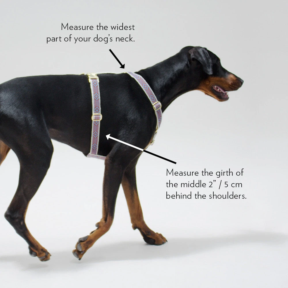 Harnais Chef L’Bark See Scout Sleep 4 Harnais Chef L’Bark See Scout Sleep – Image 2