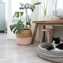 Panier Pour Chat Nido -Hariet & Rosie Miacara Nido 5