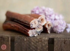 Nerf De Boeuf Mini Paul & Paulina