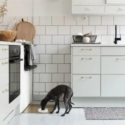 Bol Pour Chien Design Nordique Ole Hyvä 14 Bol Pour Chien Design Nordique Ole Hyvä -Hariet & Rosie Ole hyva dog ceramic bowl for tiny dogs