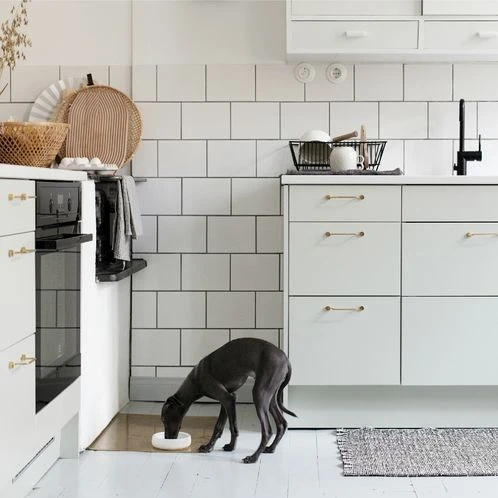 Bol Pour Chien Design Nordique Ole Hyvä 8 Bol Pour Chien Design Nordique Ole Hyvä – Image 6