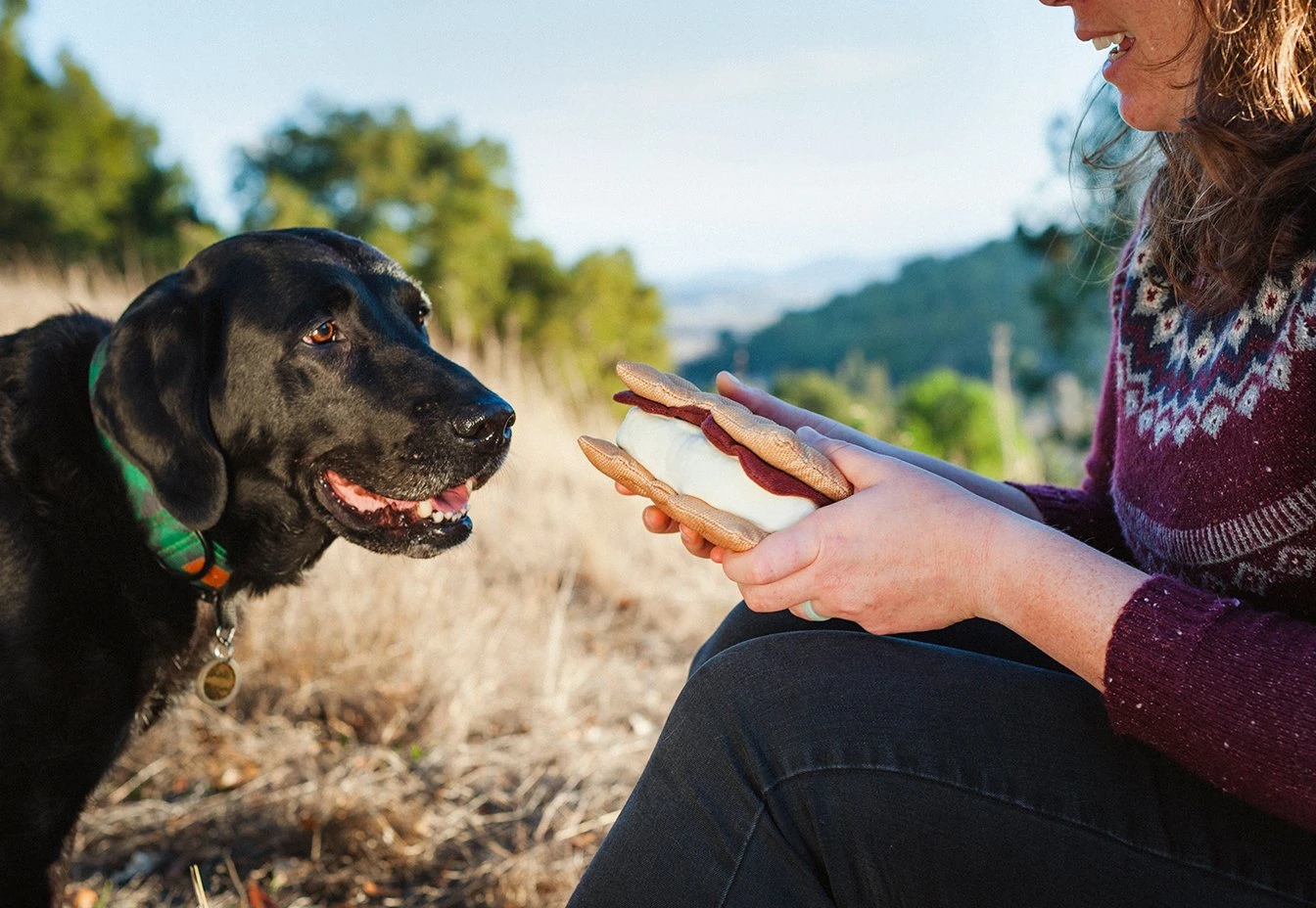 PLAY Peluche Pour Chien Sandwich Gimme S'mores 5 PLAY Peluche Pour Chien Sandwich Gimme S'mores – Image 3