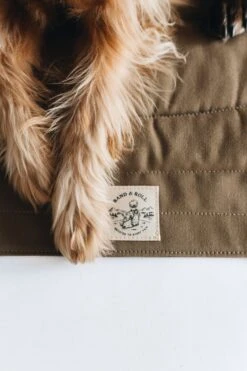 Matelas De Voyage Pour Chien Enroulable Compass Band & Roll -Hariet & Rosie Pawsonthebraunblanket 720x 9d6a52c4 2442 4a35 9a76 4b97f387698d