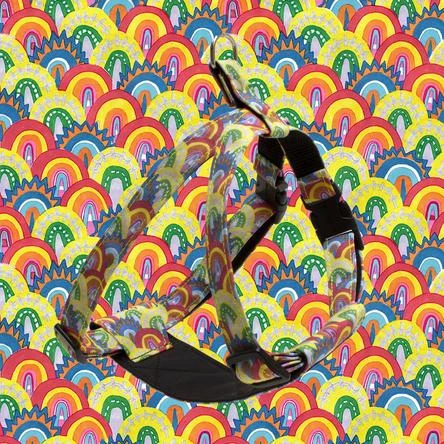 Harnais Pour Chien Over The Rainbow 4 Harnais Pour Chien Over The Rainbow – Image 2