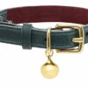 Collier En Cuir Pour Chat Rigby -Hariet & Rosie RIGBY PERSONALISED LEATHER CAT COLLAR LUXURY
