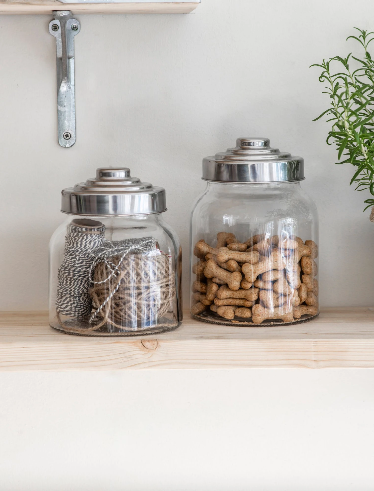 Bocal à Friandises Pour Chien Et Chat 3 Bocal à Friandises Pour Chien Et Chat