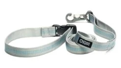 Laisse Souple Everyday (3 Couleurs) 15 Laisse Souple Everyday (3 Couleurs) -Hariet & Rosie SP Leashes Large Silver 900x d4ccfeed 57c6 441c a8f2 fdf31e8d91d3