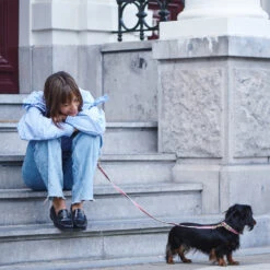 Collier Pour Chien Chef L’Bark Rouge Et Crème -Hariet & Rosie Scene CheflBark Firered 07