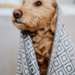 Serviette Absorbante Linaa 7 Serviette Absorbante Linaa -Hariet & Rosie Soft bamboo fabric dog towel 5 600x600 1