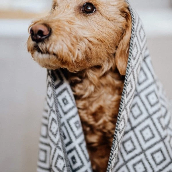 Serviette Absorbante Linaa 5 Serviette Absorbante Linaa – Image 3