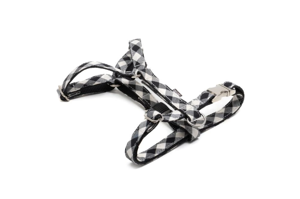 Harnais Pour Chien En H Cadi 3 Harnais Pour Chien En H Cadi