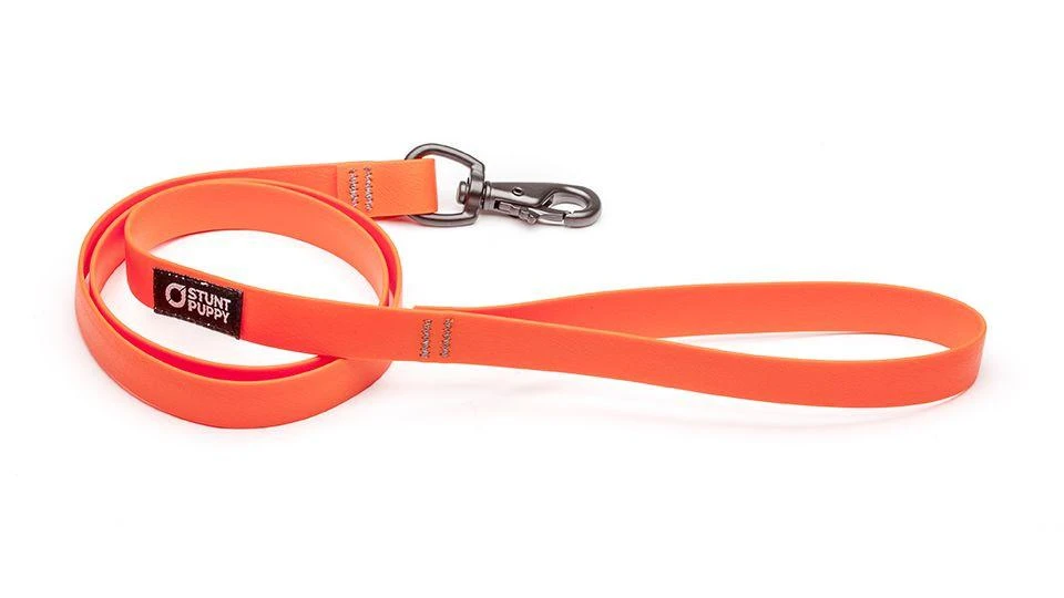 Laisse Biothane Imperméable (5 Couleurs) 4 Laisse Biothane Imperméable (5 Couleurs) – Image 2