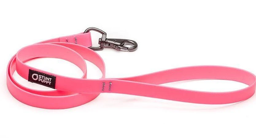 Laisse Biothane Imperméable (5 Couleurs) 3 Laisse Biothane Imperméable (5 Couleurs)