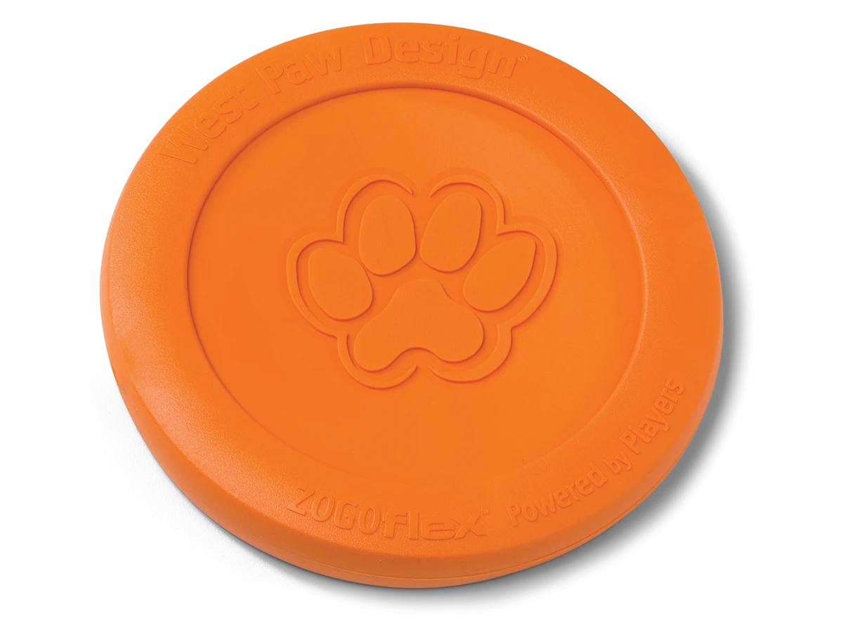 Frisbee Pour Chien Zisc® 3 Frisbee Pour Chien Zisc®