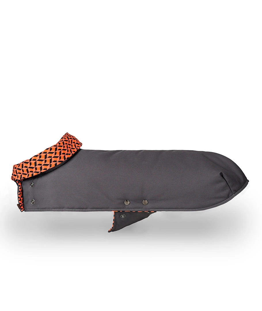 Manteau Pour Lévriers 3 Manteau Pour Lévriers