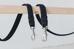 Laisse Destroyer - Basic 10 Laisse Destroyer - Basic -Hariet & Rosie bbe331 8d2771ce14714c5584dfbad81b7c3b64 mv2 9d863660 5d59 4808 84b9 abec84e3ce94