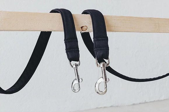 Laisse Destroyer - Basic 5 Laisse Destroyer - Basic – Image 3