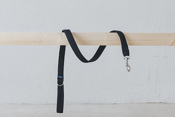 Laisse Destroyer - Basic 3 Laisse Destroyer - Basic