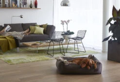 Couverture Plaid Pour Chat Lana -Hariet & Rosie bermueller 1 3603