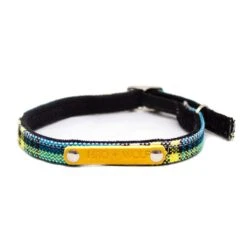 Collier Pour Chat Shuka Blue