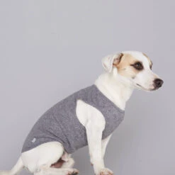Pull Fin Pour Chien Agnes 7 Pull Fin Pour Chien Agnes -Hariet & Rosie body agnes 1