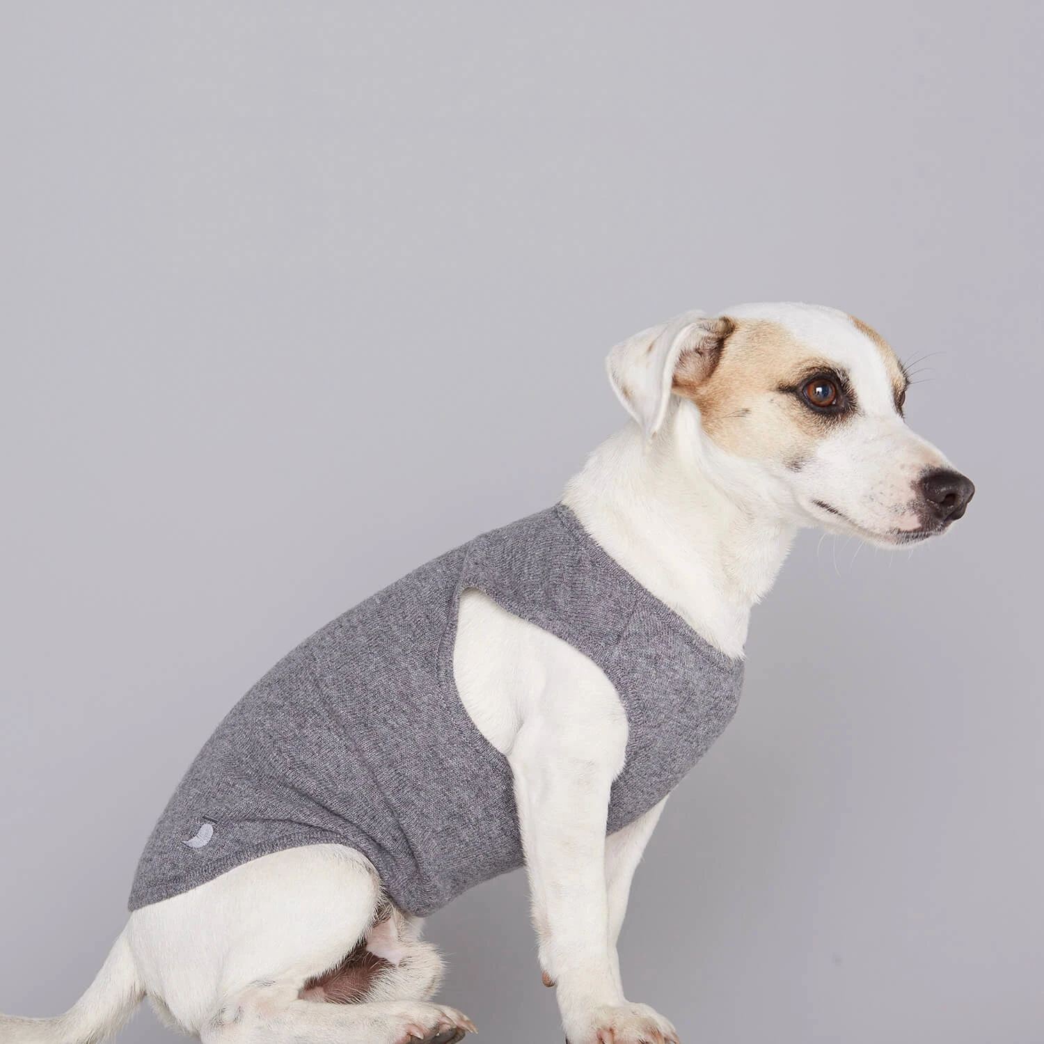 Pull Fin Pour Chien Agnes 5 Pull Fin Pour Chien Agnes – Image 3